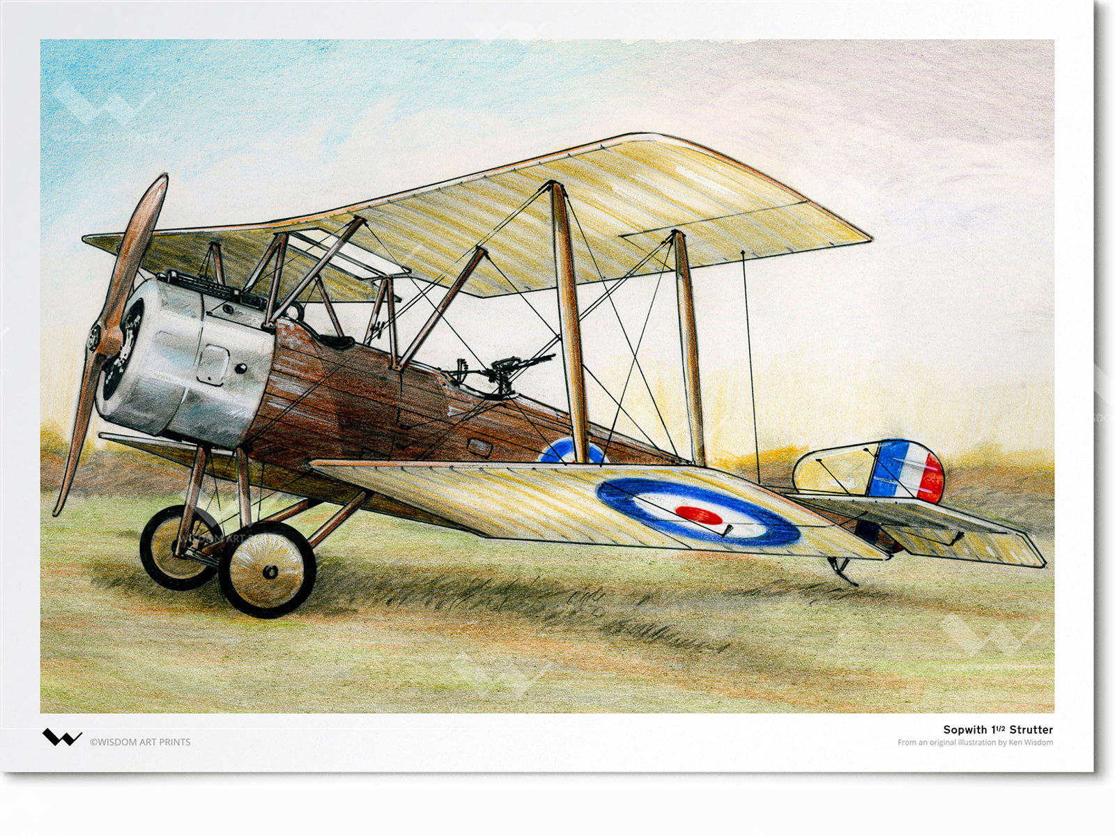Sopwith 1½ Strutter
