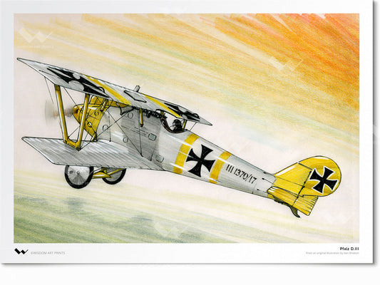 Pfalz D.III