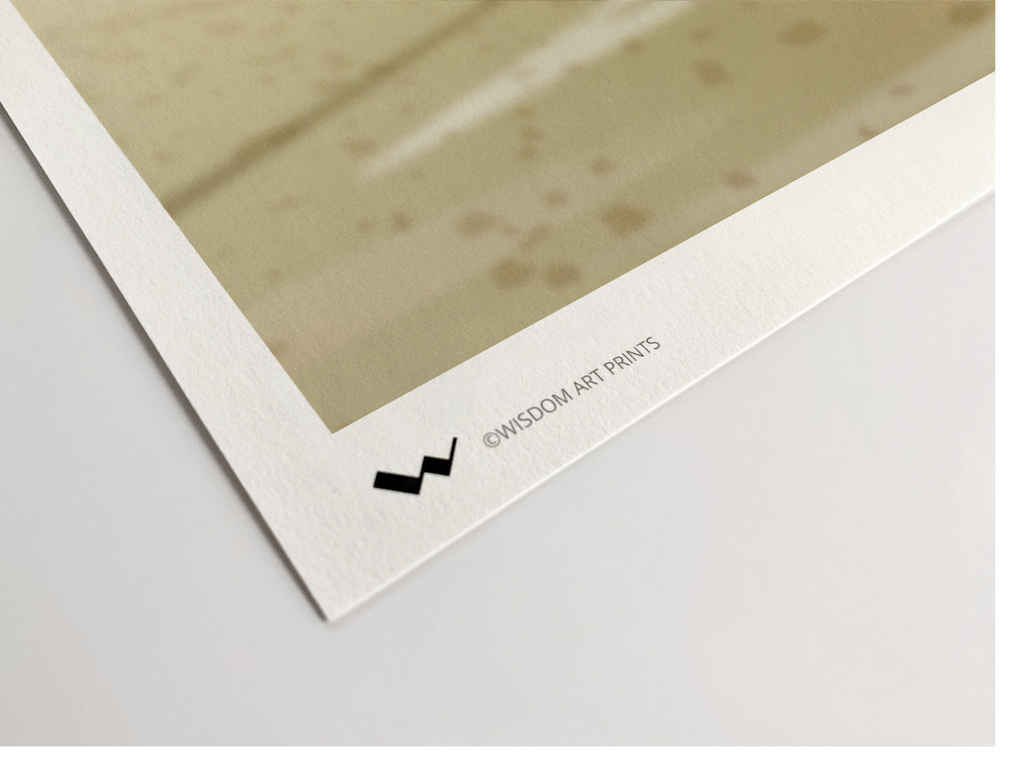 Spitfire (Polish Fighting Team) Limited Edition