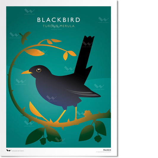 Blackbird Art Print