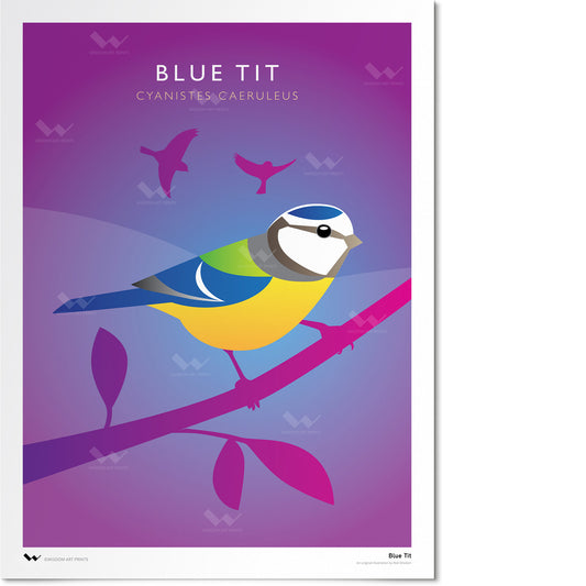 Blue Tit Art Print