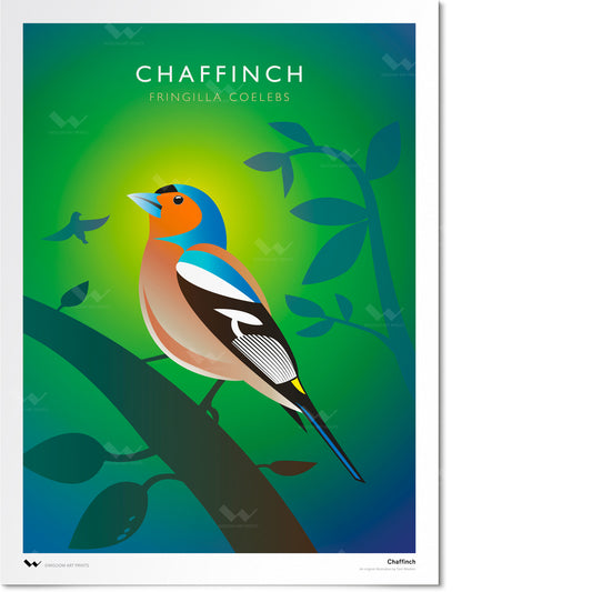 Chaffinch