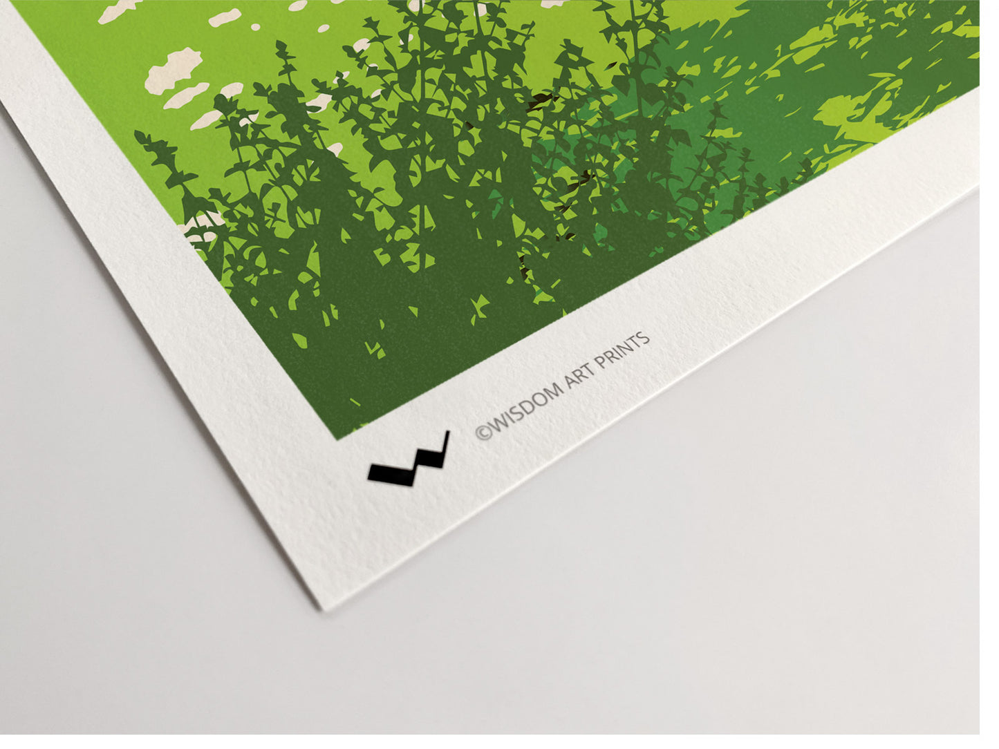 Essex illustration on 308gsm 100% cotton art paper