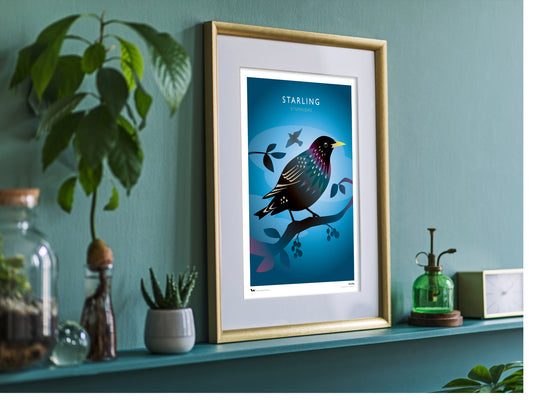 Starling