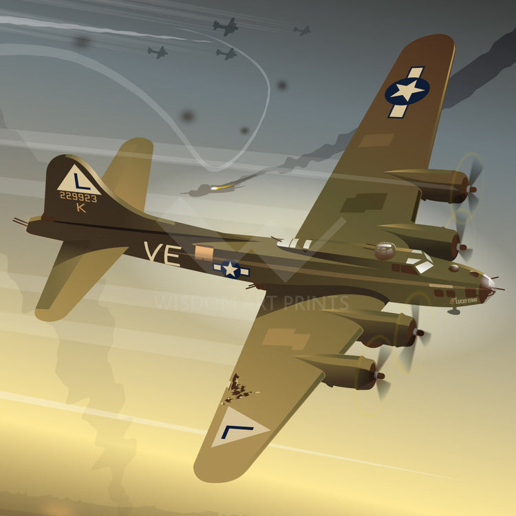 USAAF Aircraft Art Prints