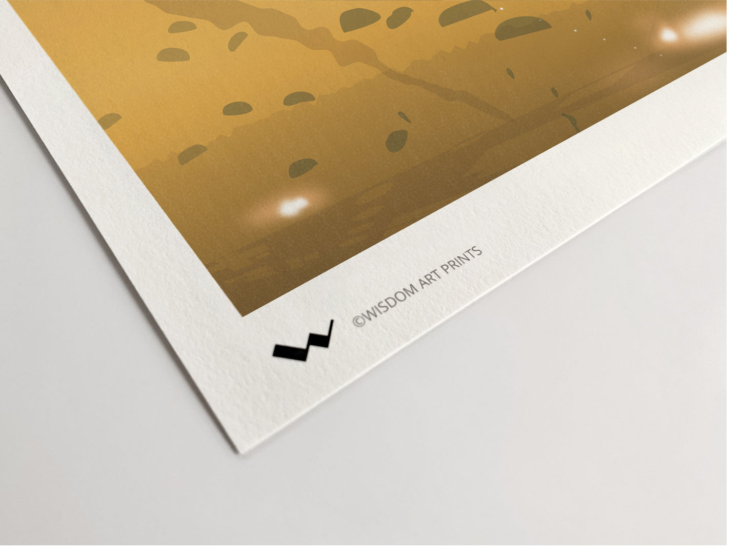 C47 Dakota (87th Troop Carrier Squadron USAAF)