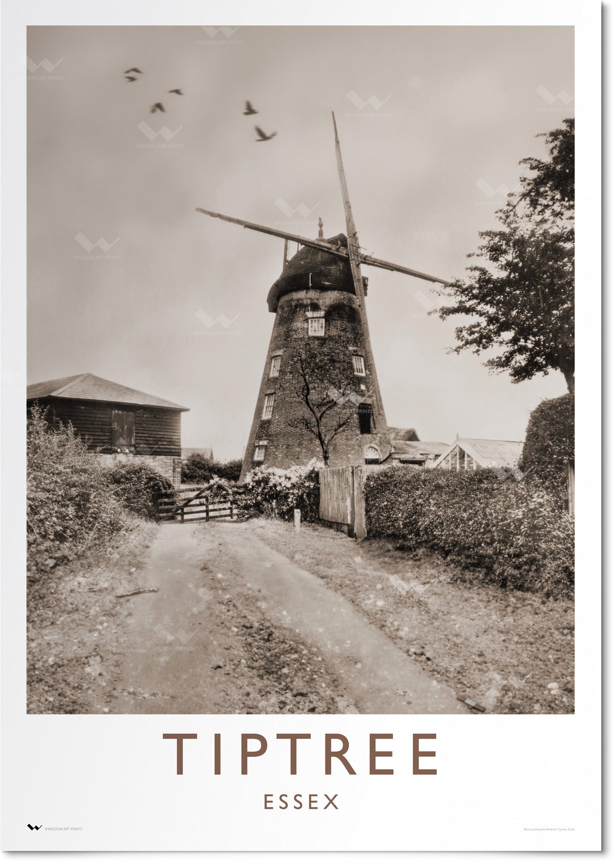 Tiptree Windmill, Essex