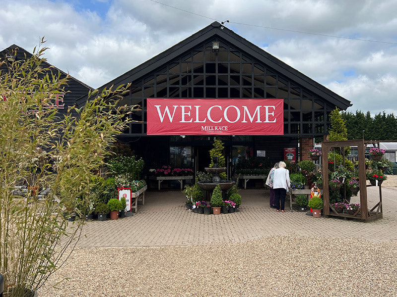 Mill Race Garden Centre Aldham Colchester