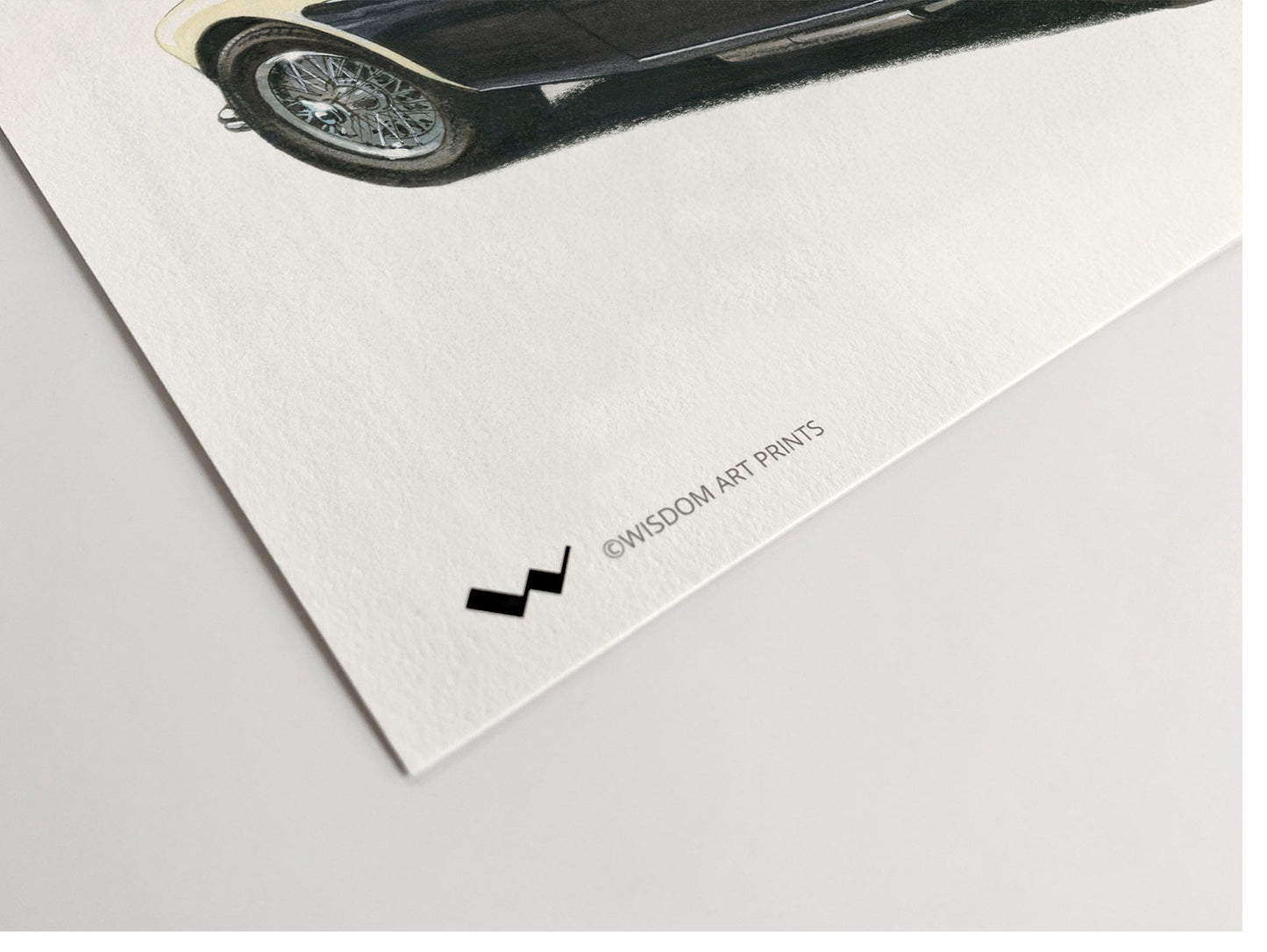 Austin-Healey 3000 Mark I (Rear)