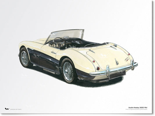 Austin-Healey 3000 Mark I (Rear)