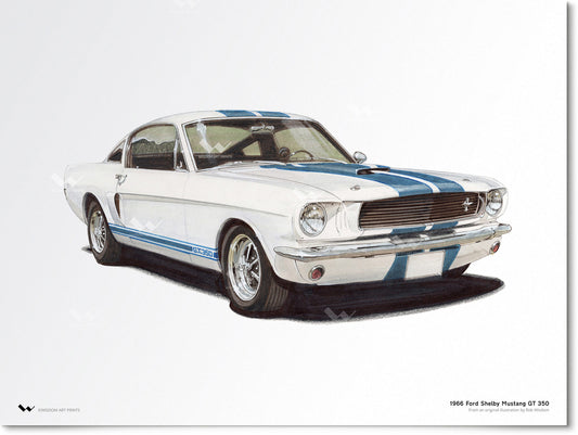 Ford Shelby Mustang 66 GT 350