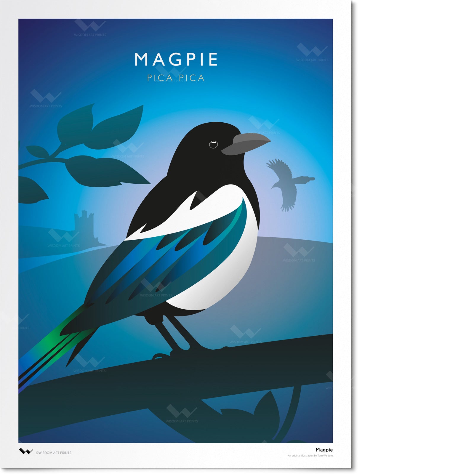 Magpie Poster Magpie Art Print – Wisdom Art Prints