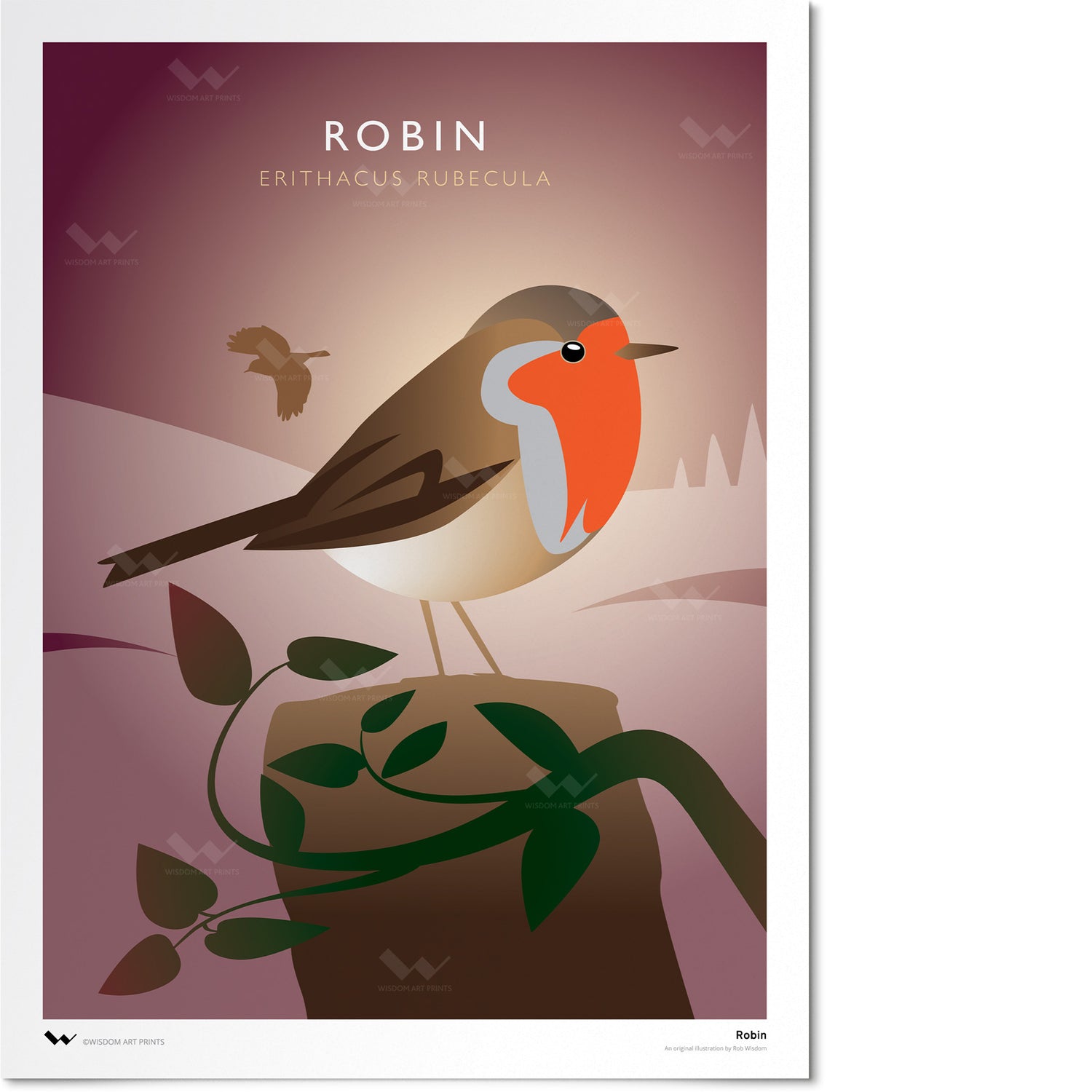 Robin Art Print