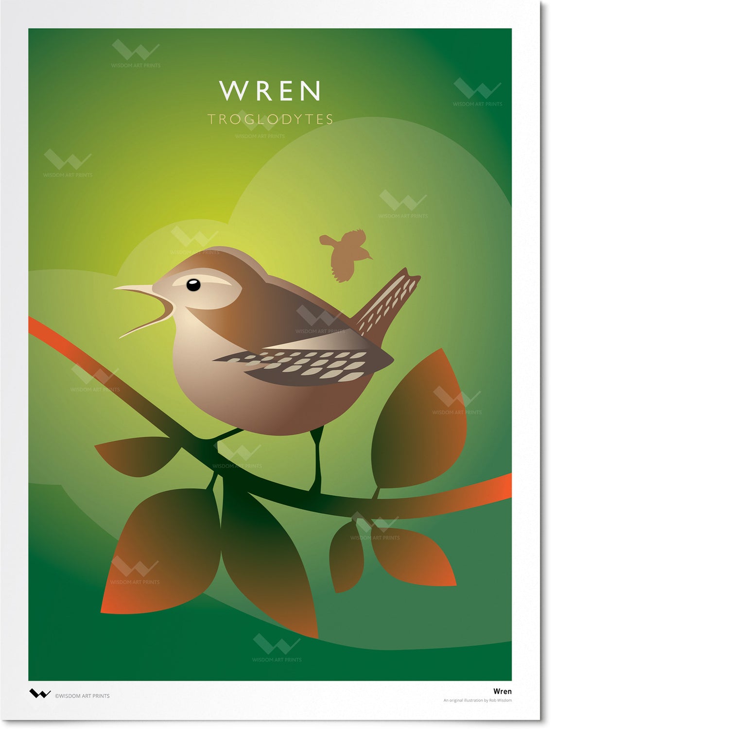 Wren Art Print
